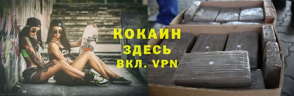 гашик Алзамай