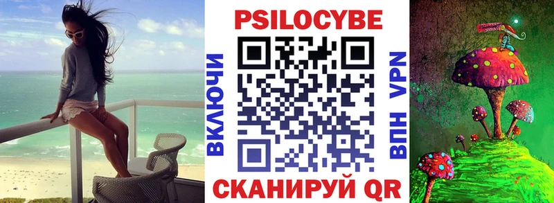 Галлюциногенные грибы Psilocybine cubensis  Сортавала 